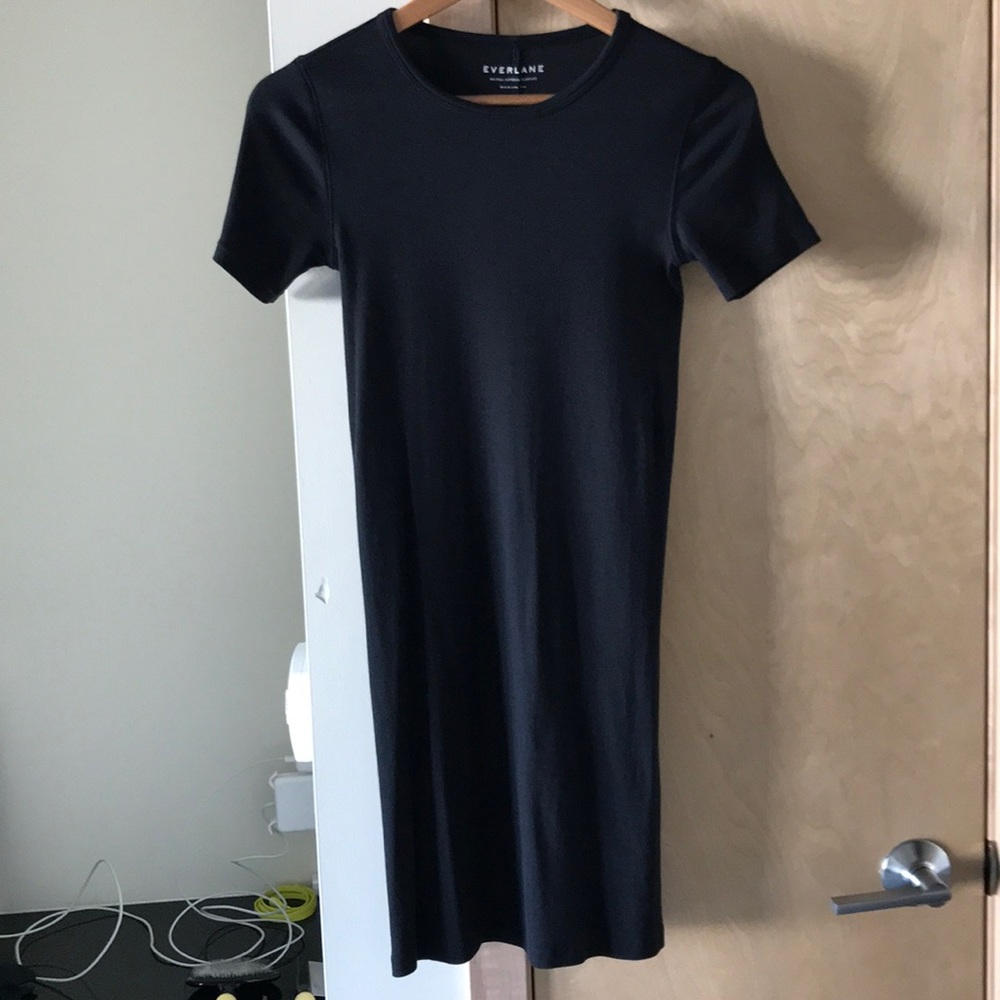 Everlane t shirt dress